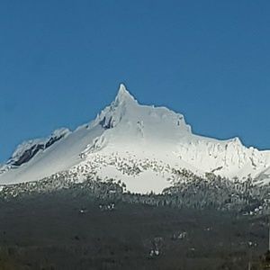 Meet your Posher, Ann